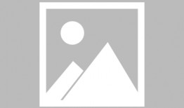 东方树叶最新爆料新闻视频,揭秘茶叶新风尚背后的故事